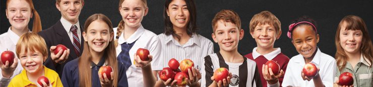 international teachers CPD